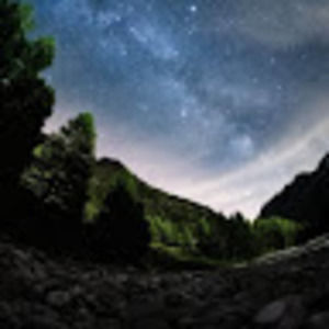 Meet your Posher, Dominic